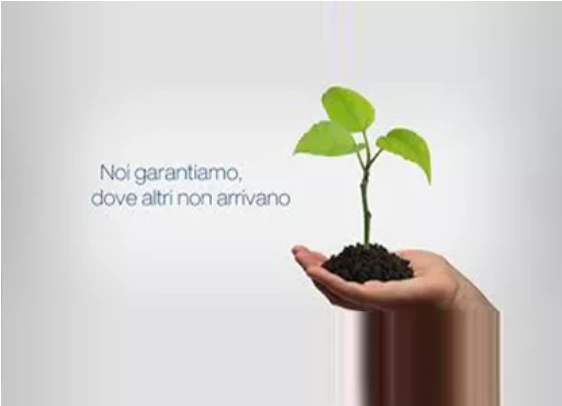 Cauzione e Fideiussioni